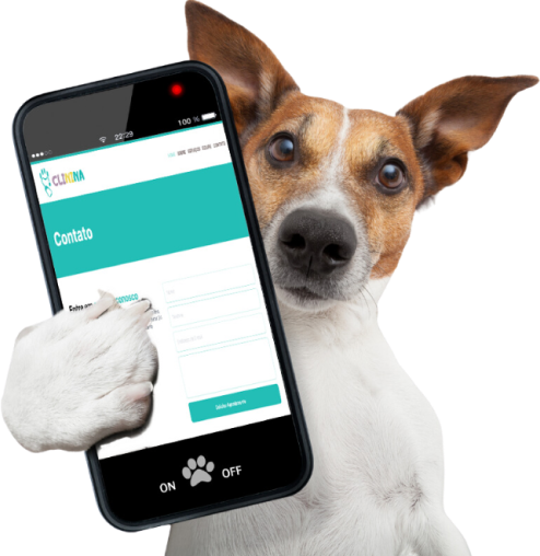 Fotos de um cachorro segurando um celular na mão